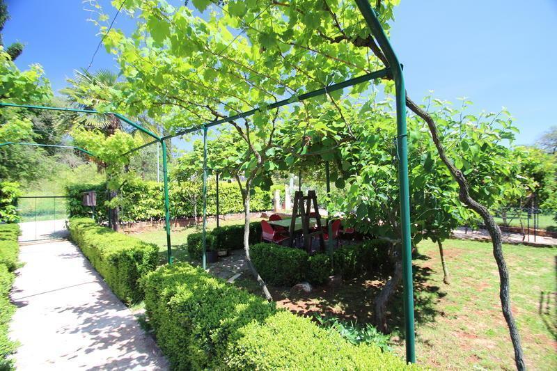 The Green House - 20M From The Beach Novigrad Istria Værelse billede